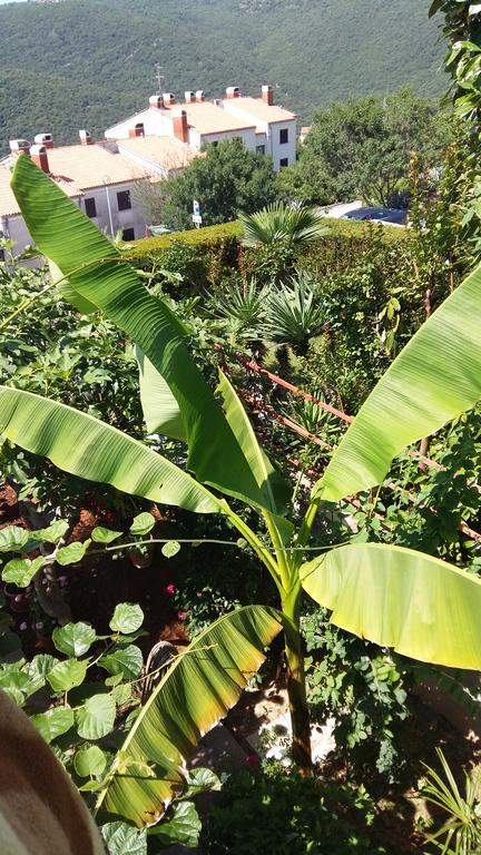 Apartment Sandra 拉巴克 外观 照片
